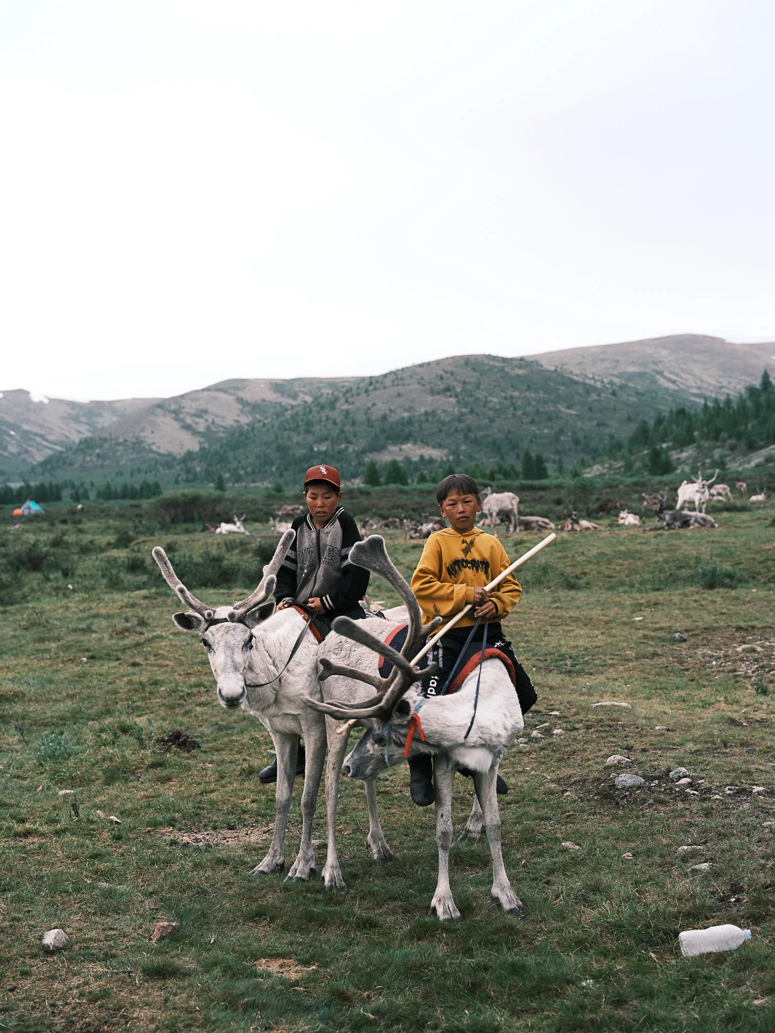 Kids on Reindeers.jpg