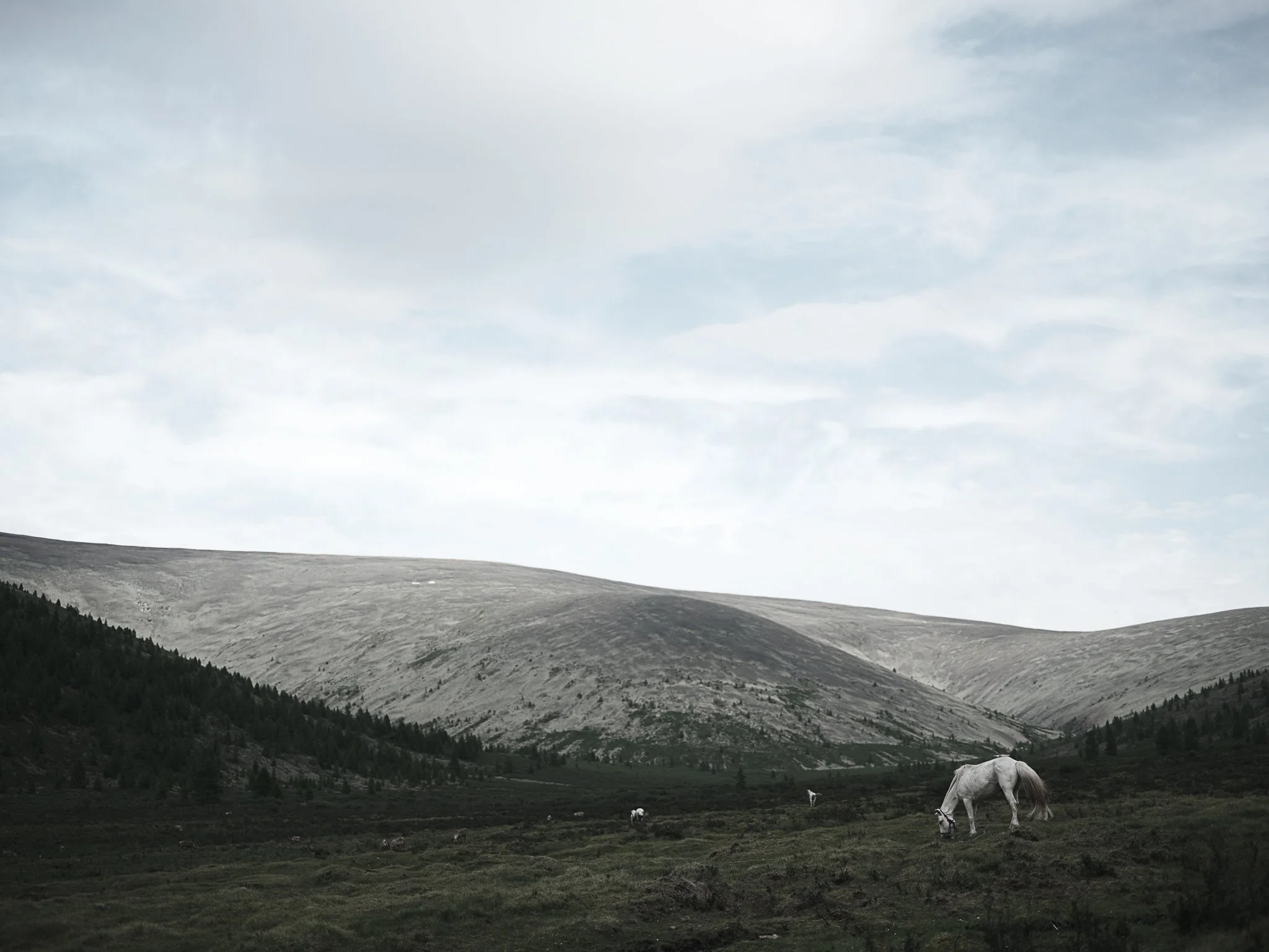 White Horse Landscape.jpg