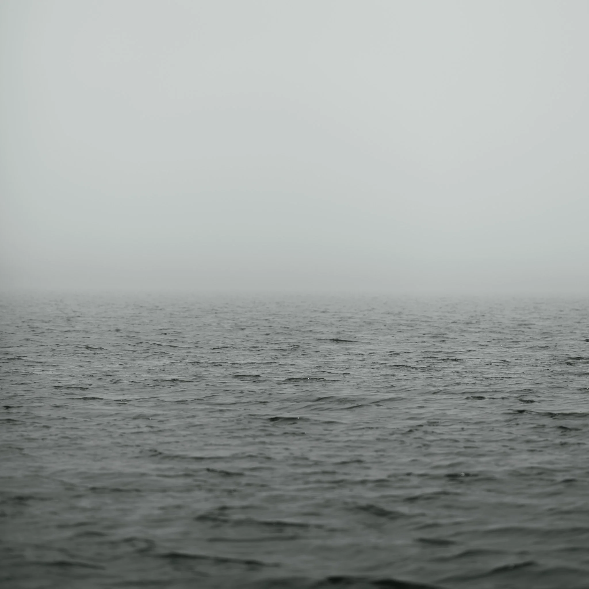 DSCF0133.jpg
