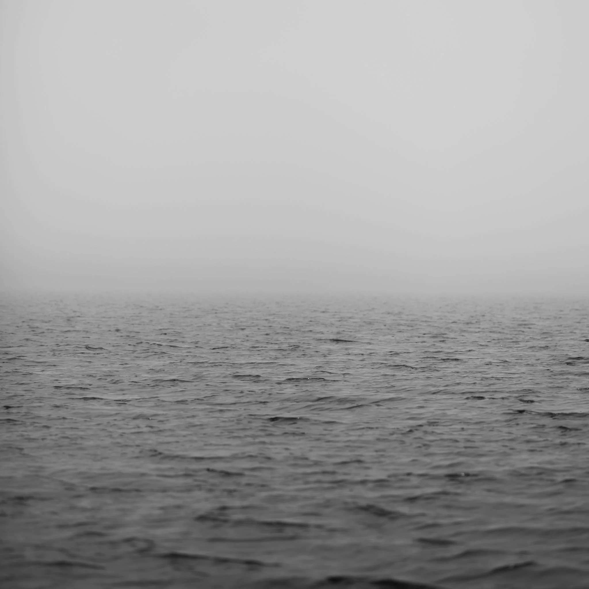 DSCF0133-2.jpg