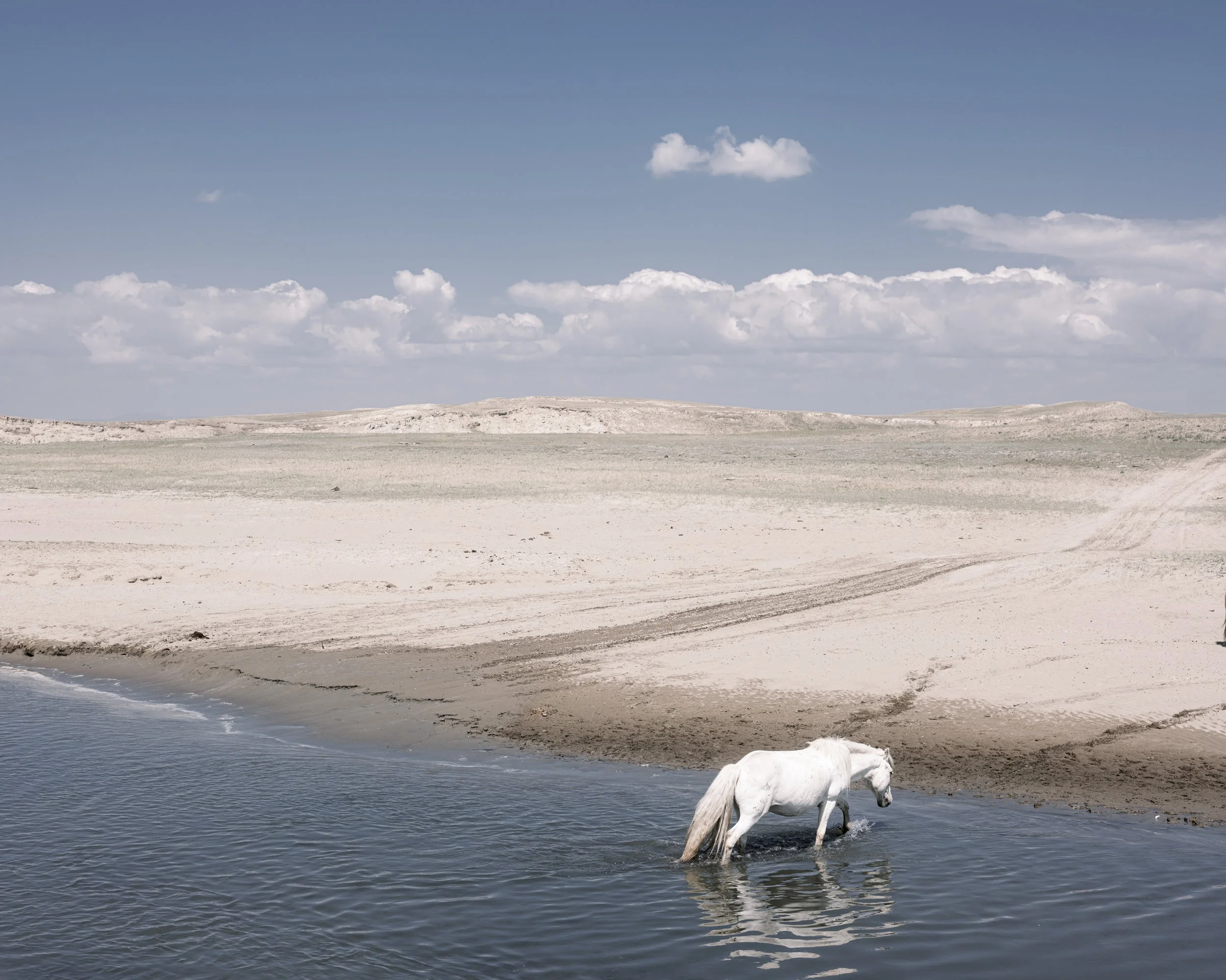 09 Sacred Horse in the River, Desert Ahead.jpg
