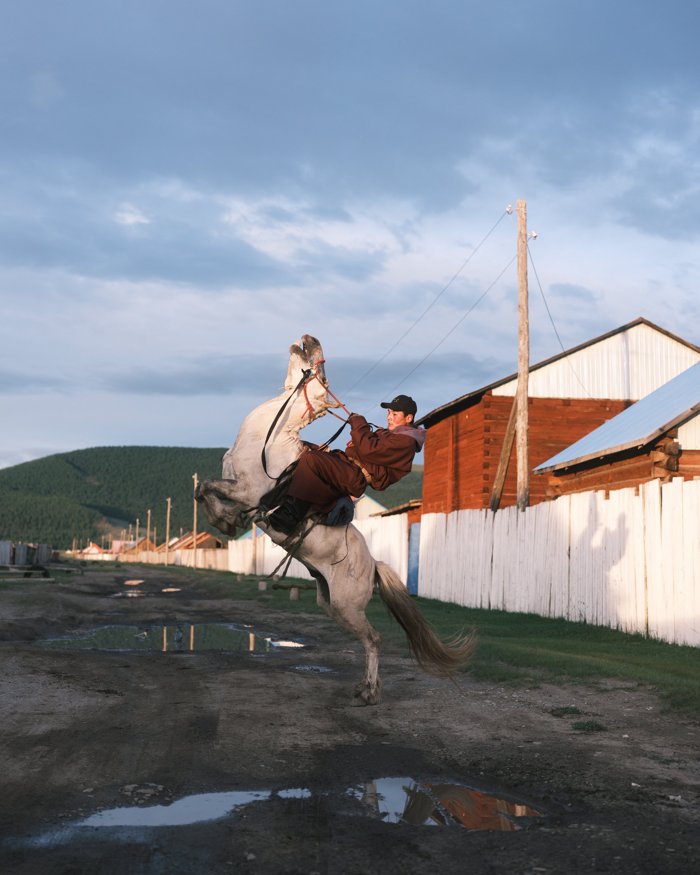 16 Rearing Horse.jpg