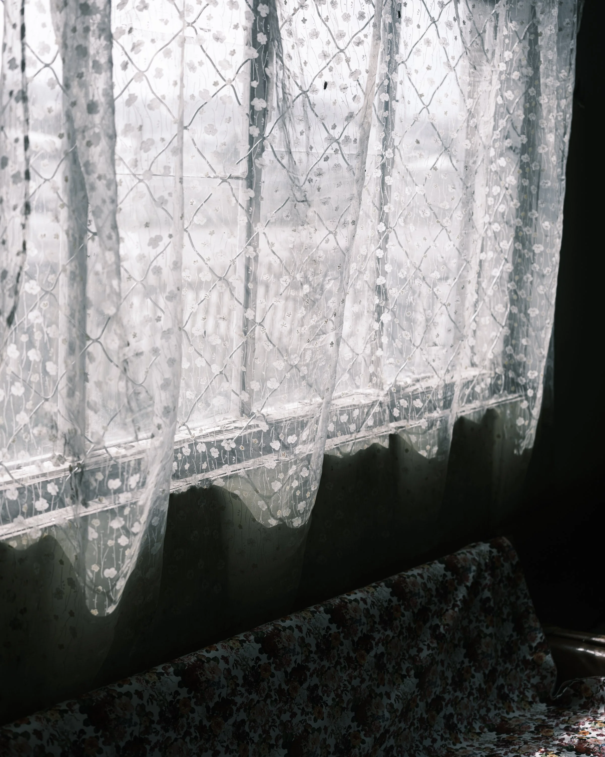 32 Lace Curtains and a Fence.jpg