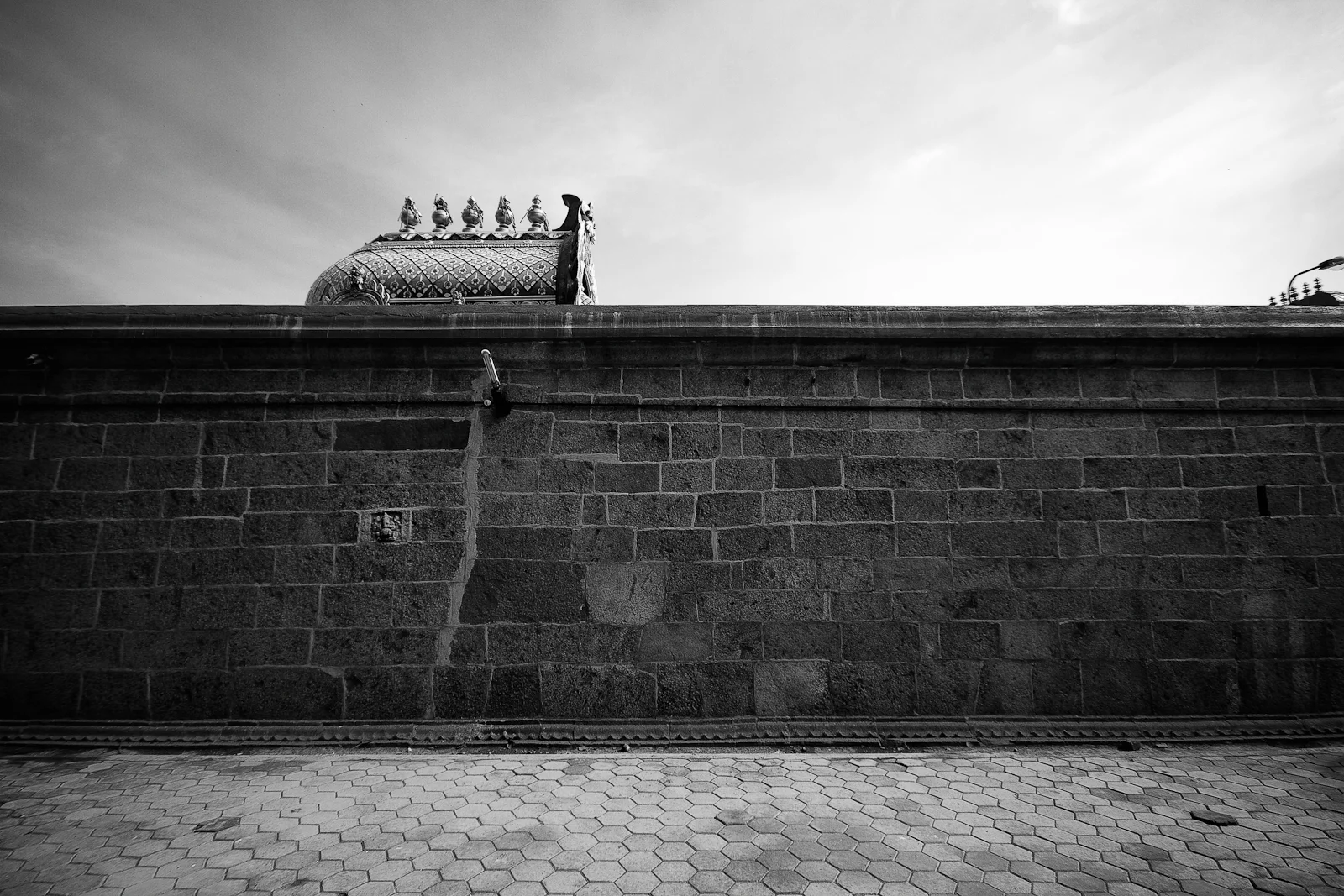 IMG_1905.jpg