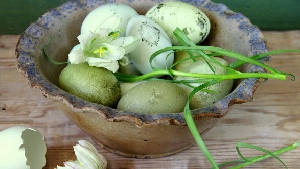 dyed-easter-eggs1.jpg