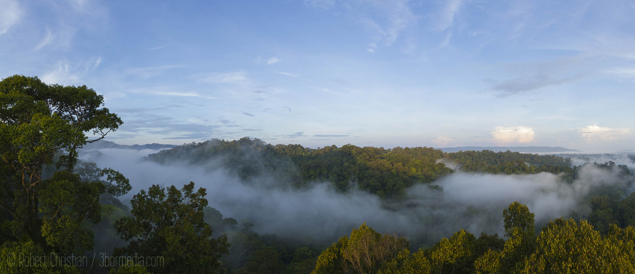The view from the Canopy Walkway at Ulu Temburong National Park in Brunei.