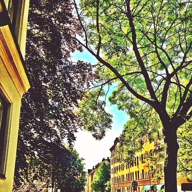 2013-06-14_1371204928.jpg