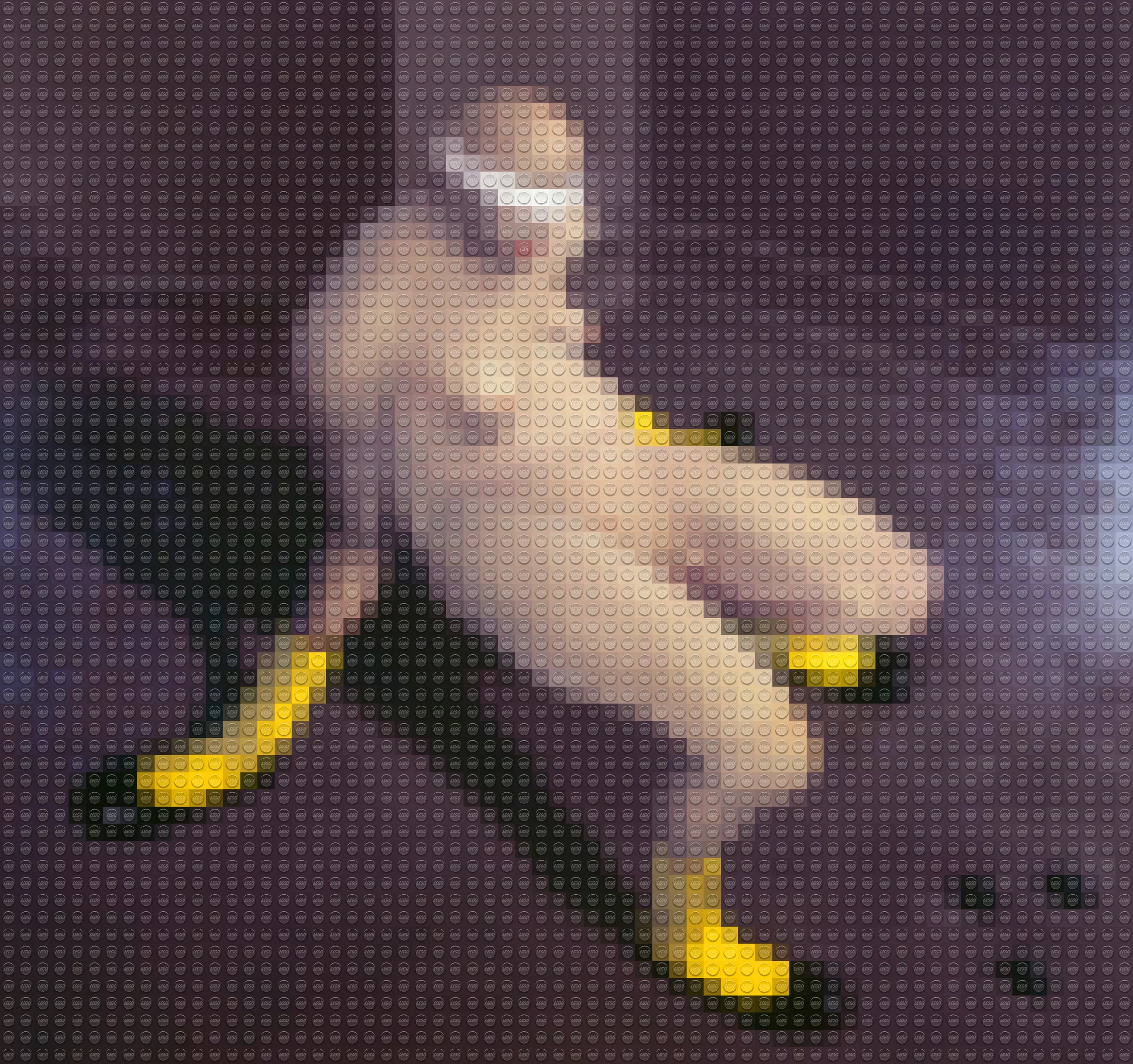 61 copy.jpg
