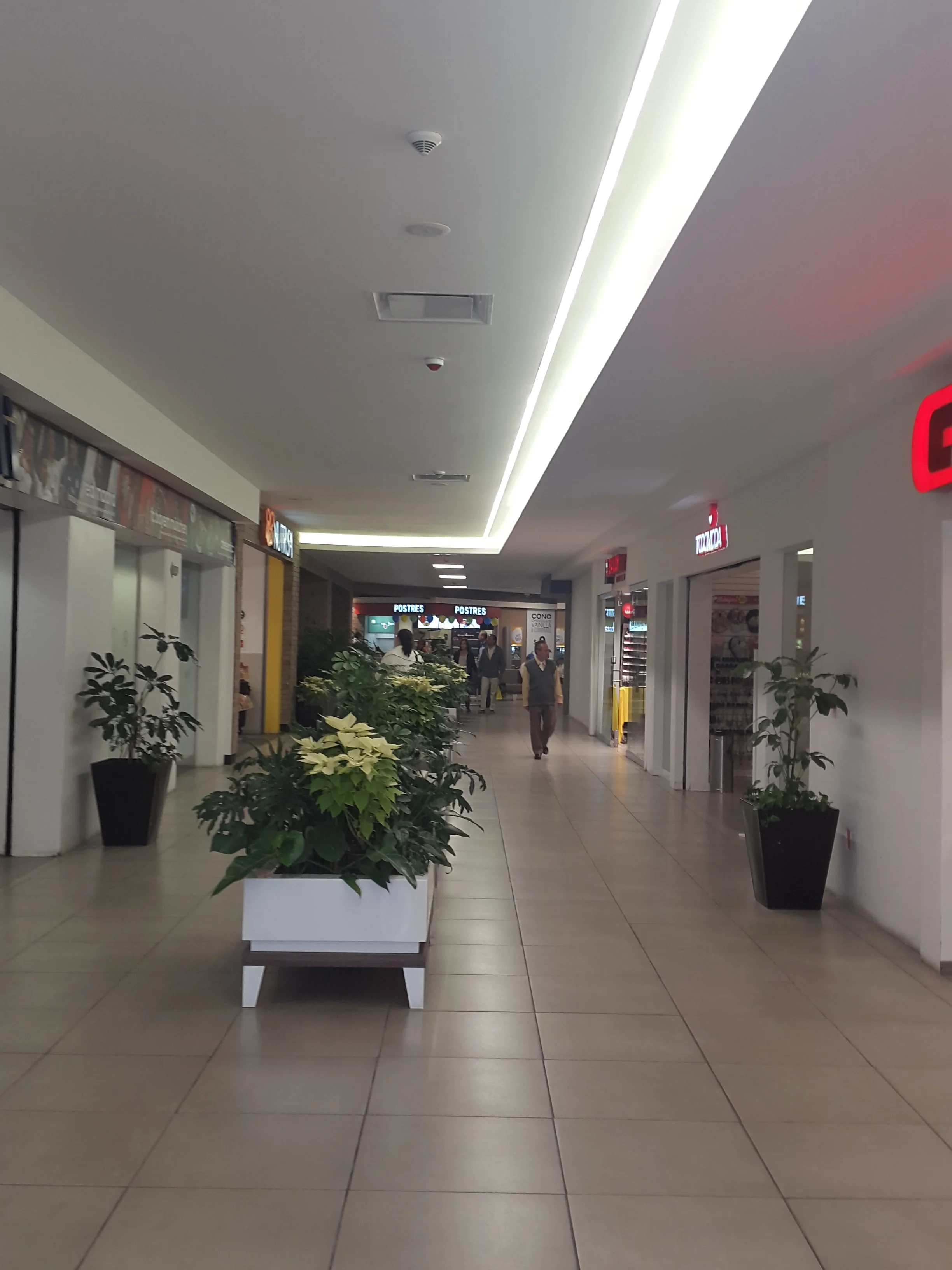 2015-11-19 13.30.47.jpg