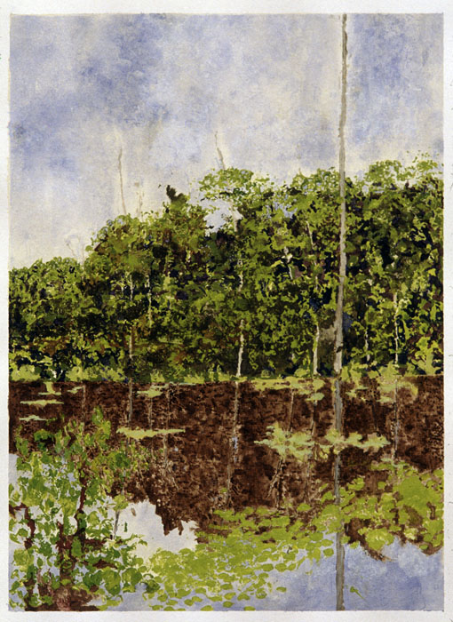 The Oxbow Lake in the Half-Drowned World