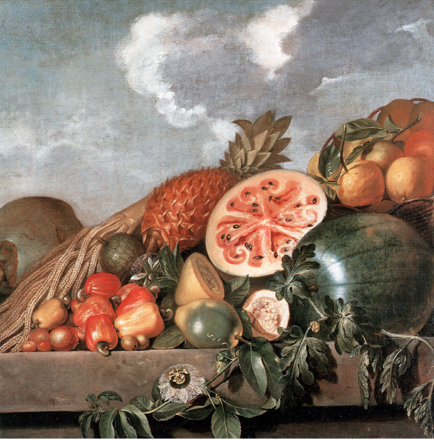 Still Life with Watermelon, Pineapple and other Fruits, oil on canvas, Albert Eckhout, Dutch painter active in 17th century Brazil