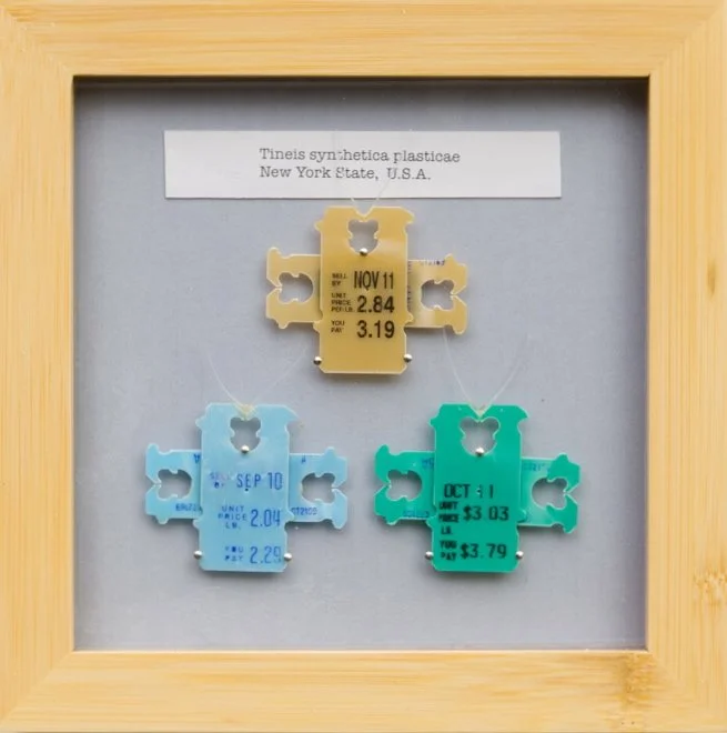 Synthetic Lepidoptera I