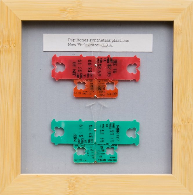 Synthetic Lepidoptera II