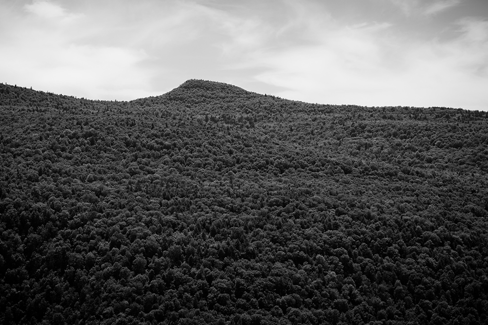 NYHike_1_LR.jpg