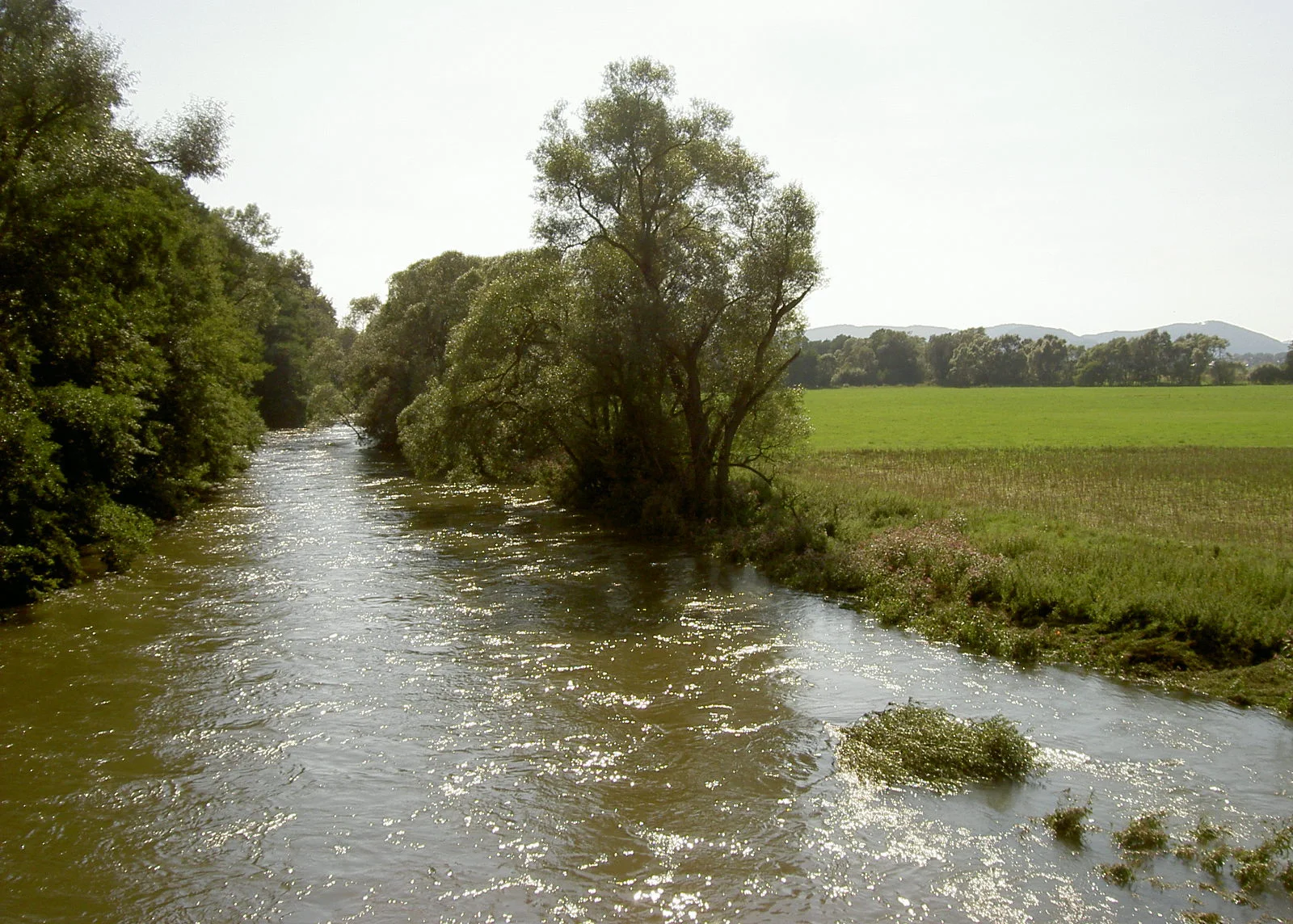 "River Eder near Ederauenradweg FKB2" by Simone - Own work. Licensed under CC BY 2.5 via Wikimedia Commons - https://commons.wikimedia.org/wiki/File:River_Eder_near_Ederauenradweg_FKB2.jpg#mediaviewer/File:River_Eder_near_Ederauenradweg_FKB2.jpg