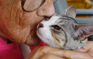 OldPersCat01.jpg