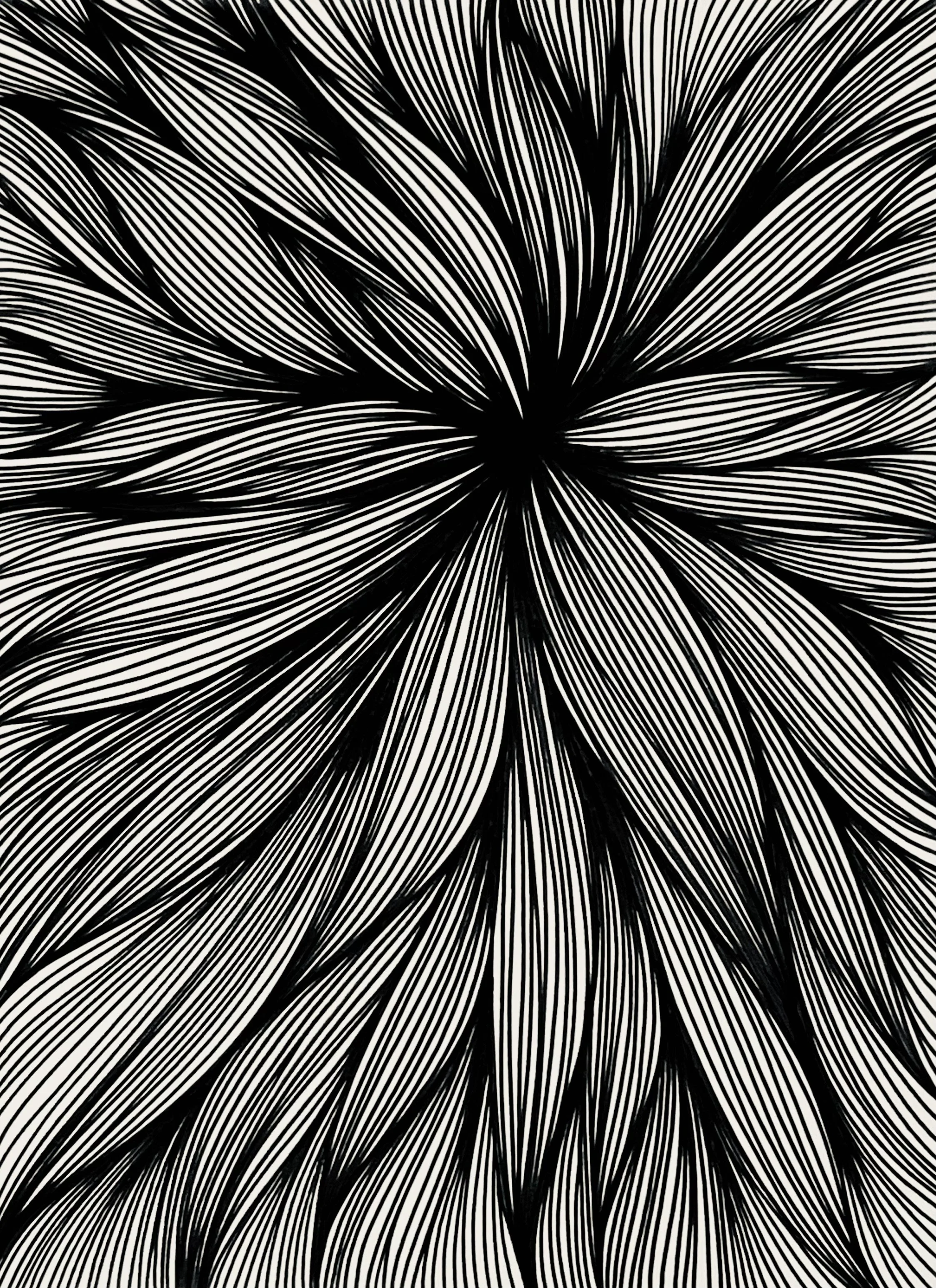 IMPOSSIBLE CONCLUSIONS.jpeg