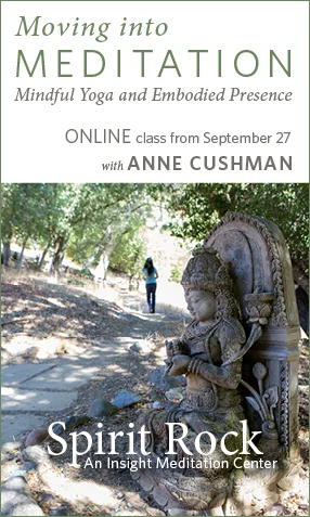 Range of digital ads