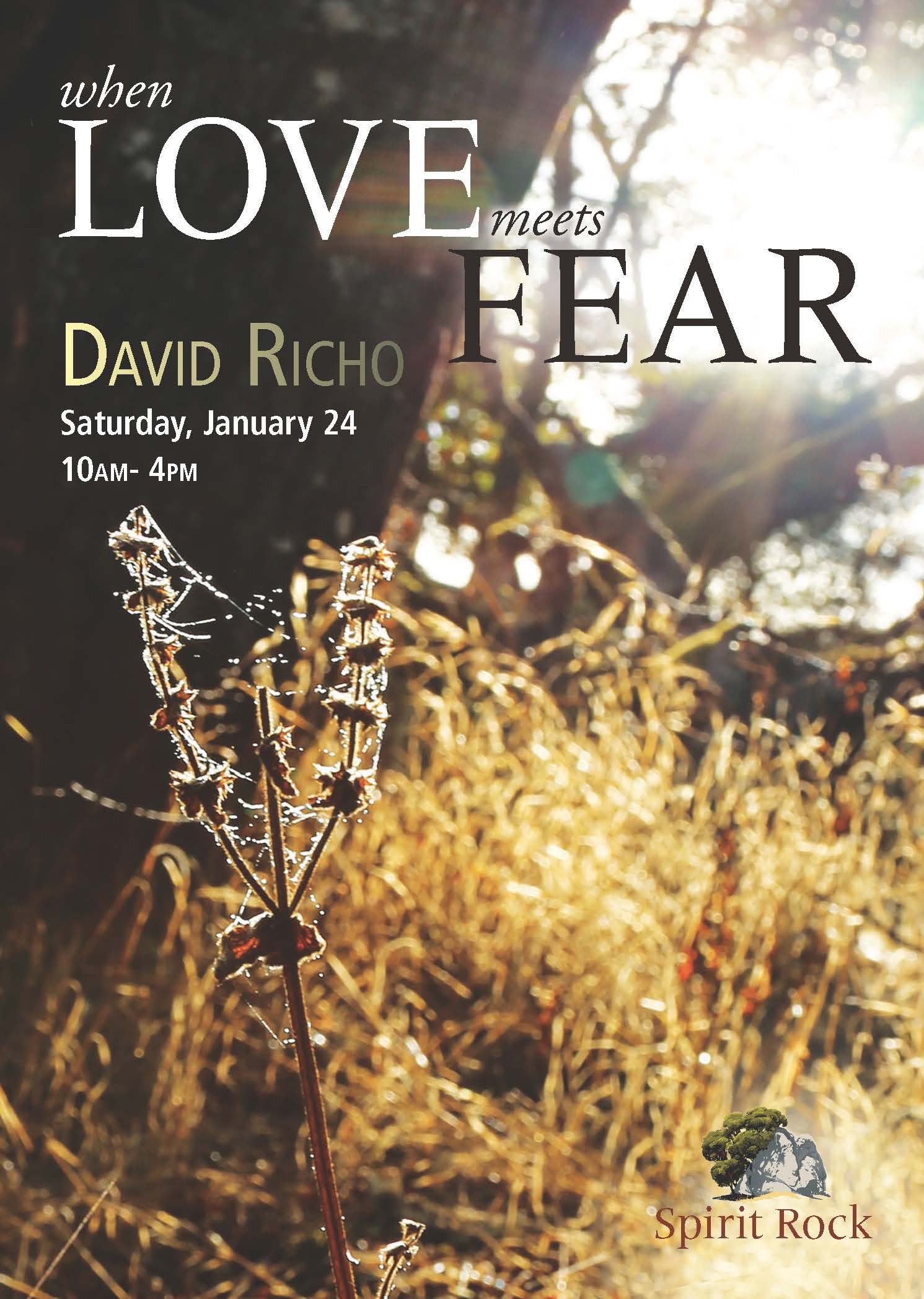 Promotional assets, print and digital