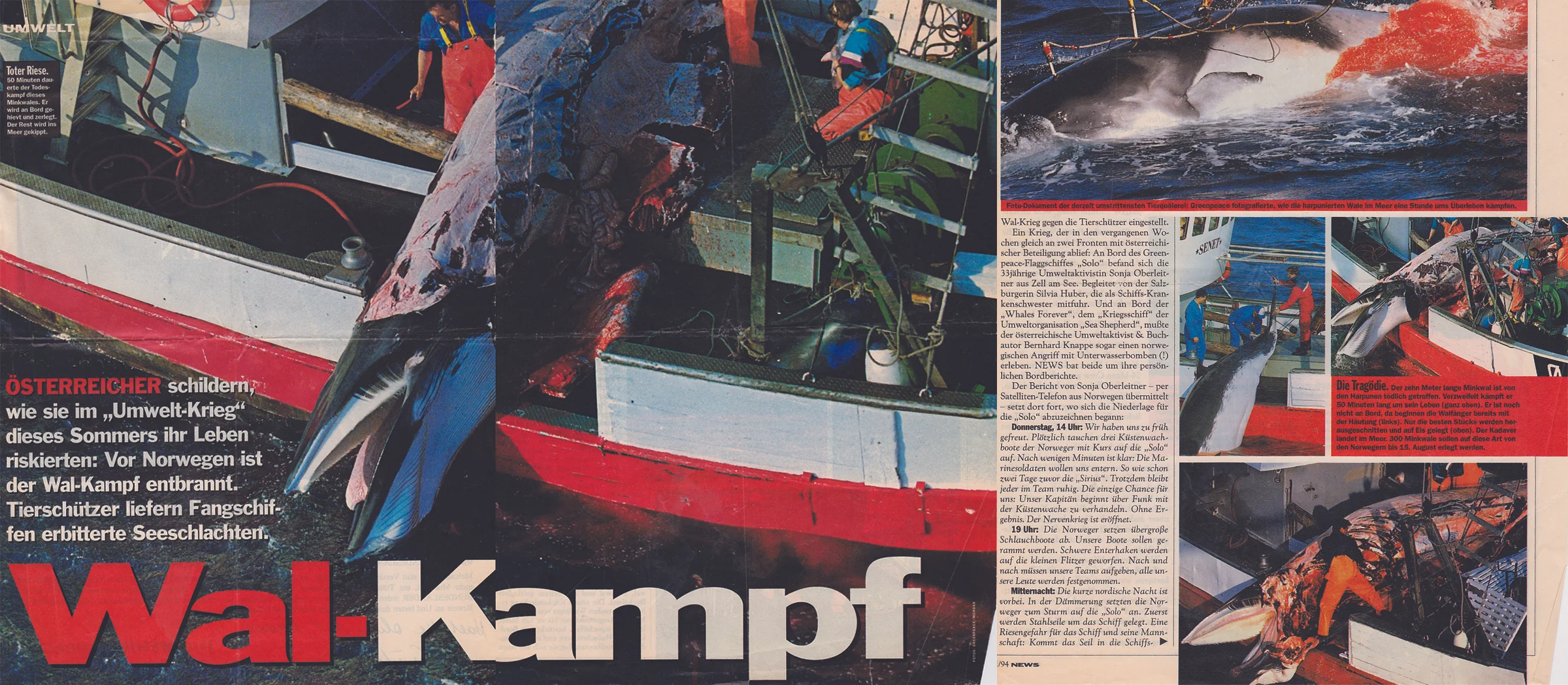 Protesting whale slaughter, Norwegian Seas.