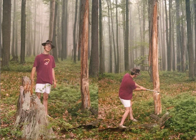 Woodness.jpeg