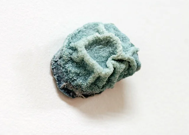 Ebersole-03-dehydrated gelatin.jpeg