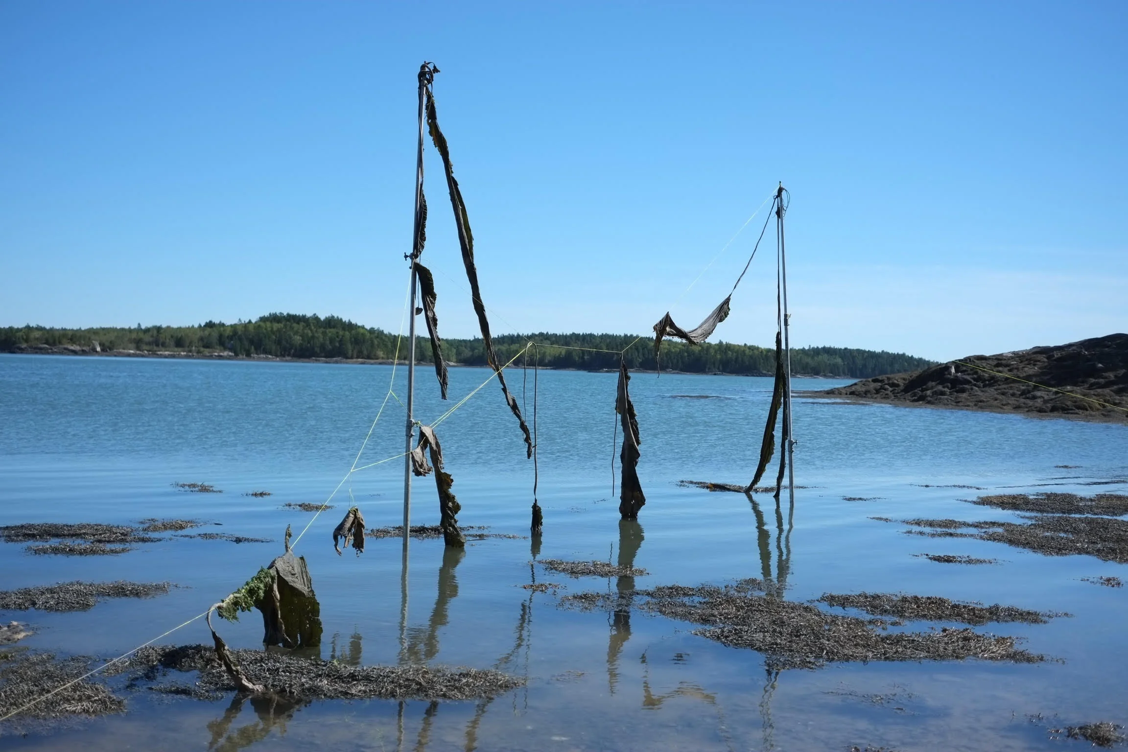 Bran Exhibition Image 2.jpg