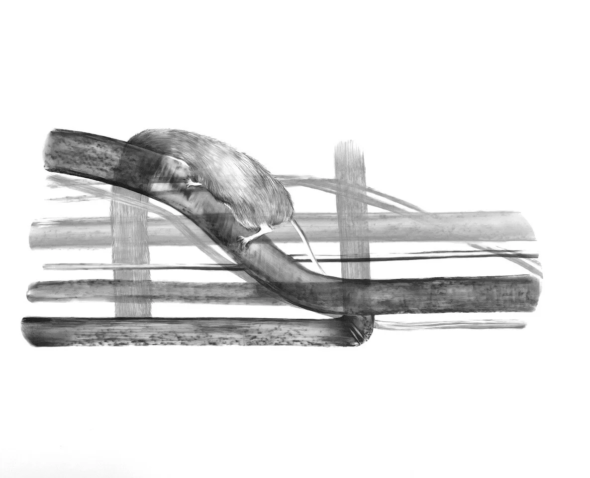 Marianne Hoffmeister-1.jpeg