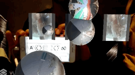 vid1.gif