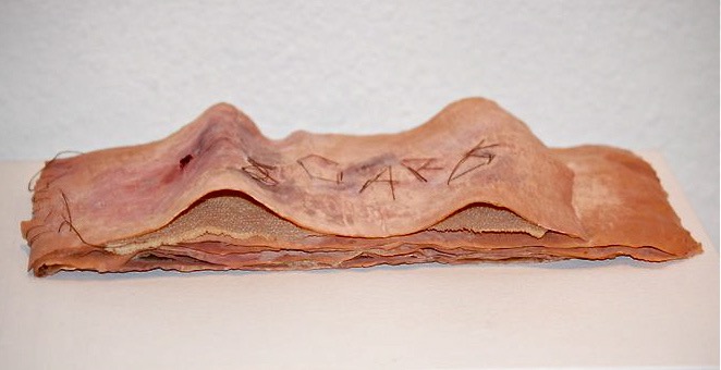 Book of Scars