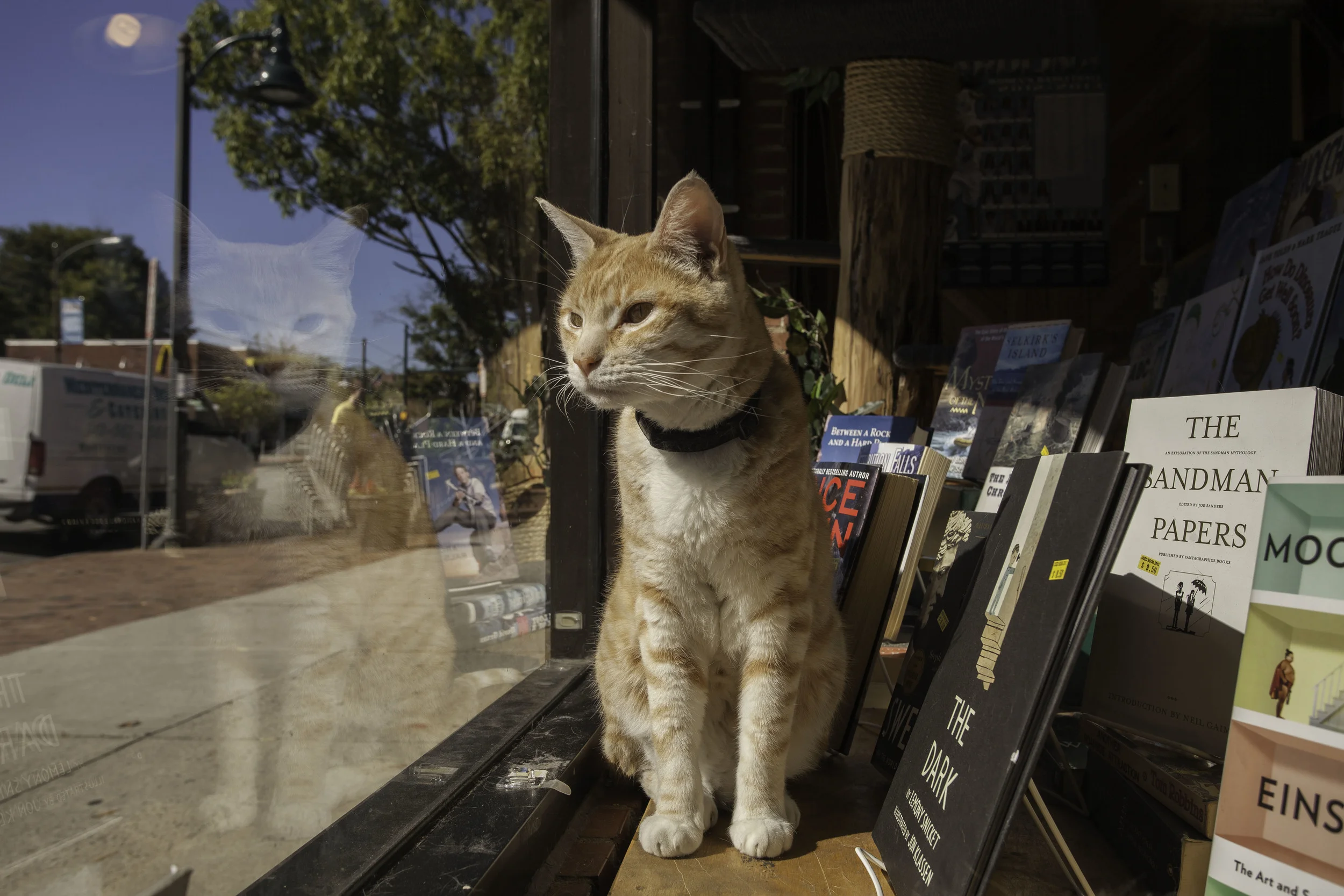 Bookstore_05_IMG_4183.jpg