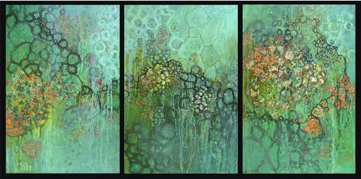 REEF," SHELLY HEHENBERGER