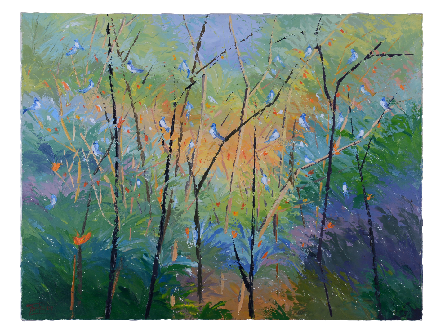 DSC_0213 (Large).png