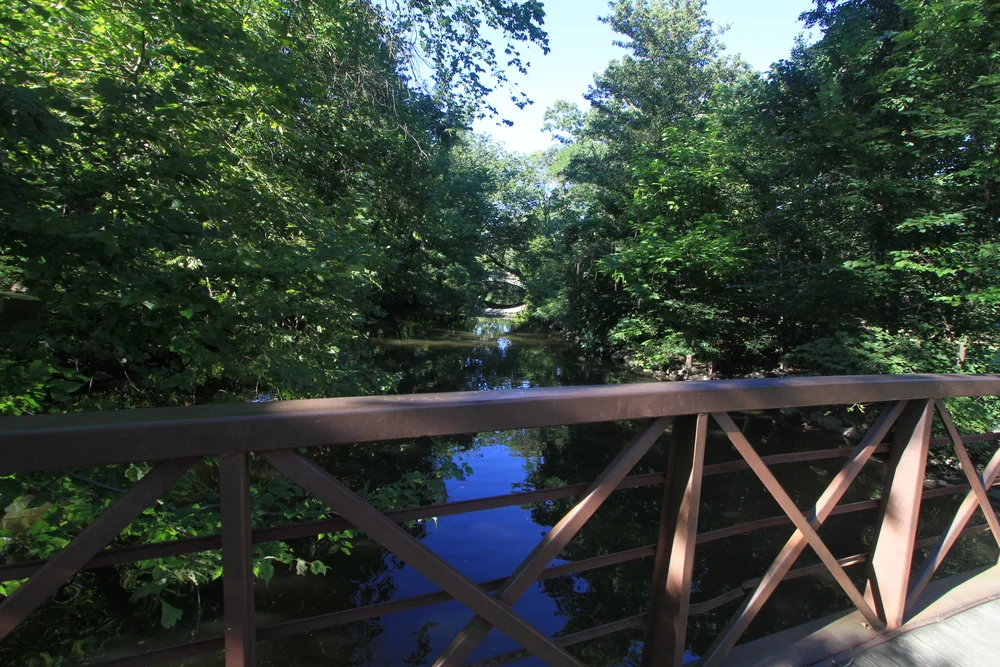 McCorkle Cooperative