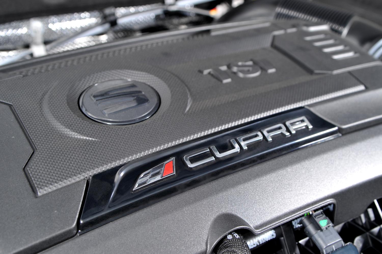 VW Group's 2.0 TSi engine makes you question whether you need a Golf R after all