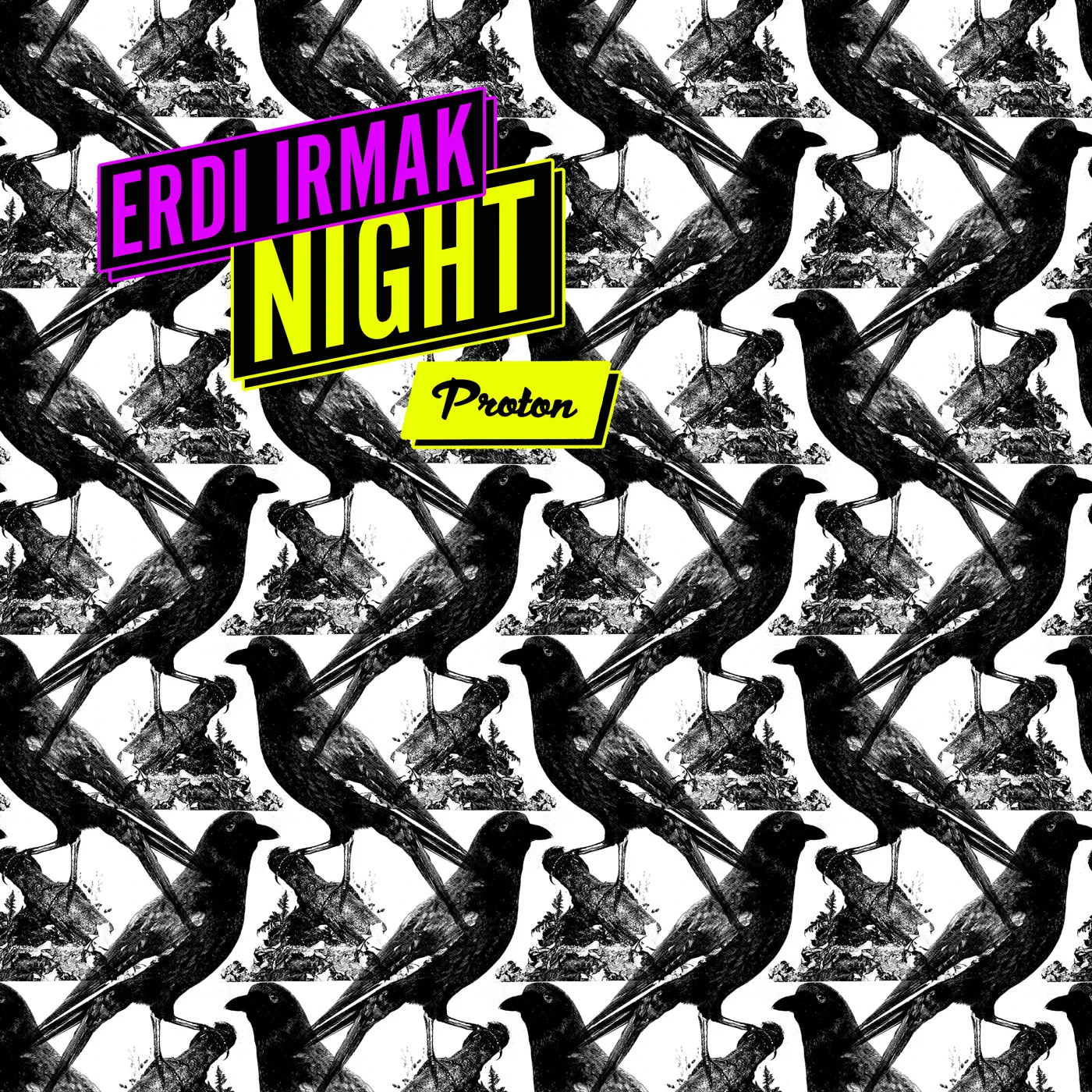 Erdi Irmak - Night