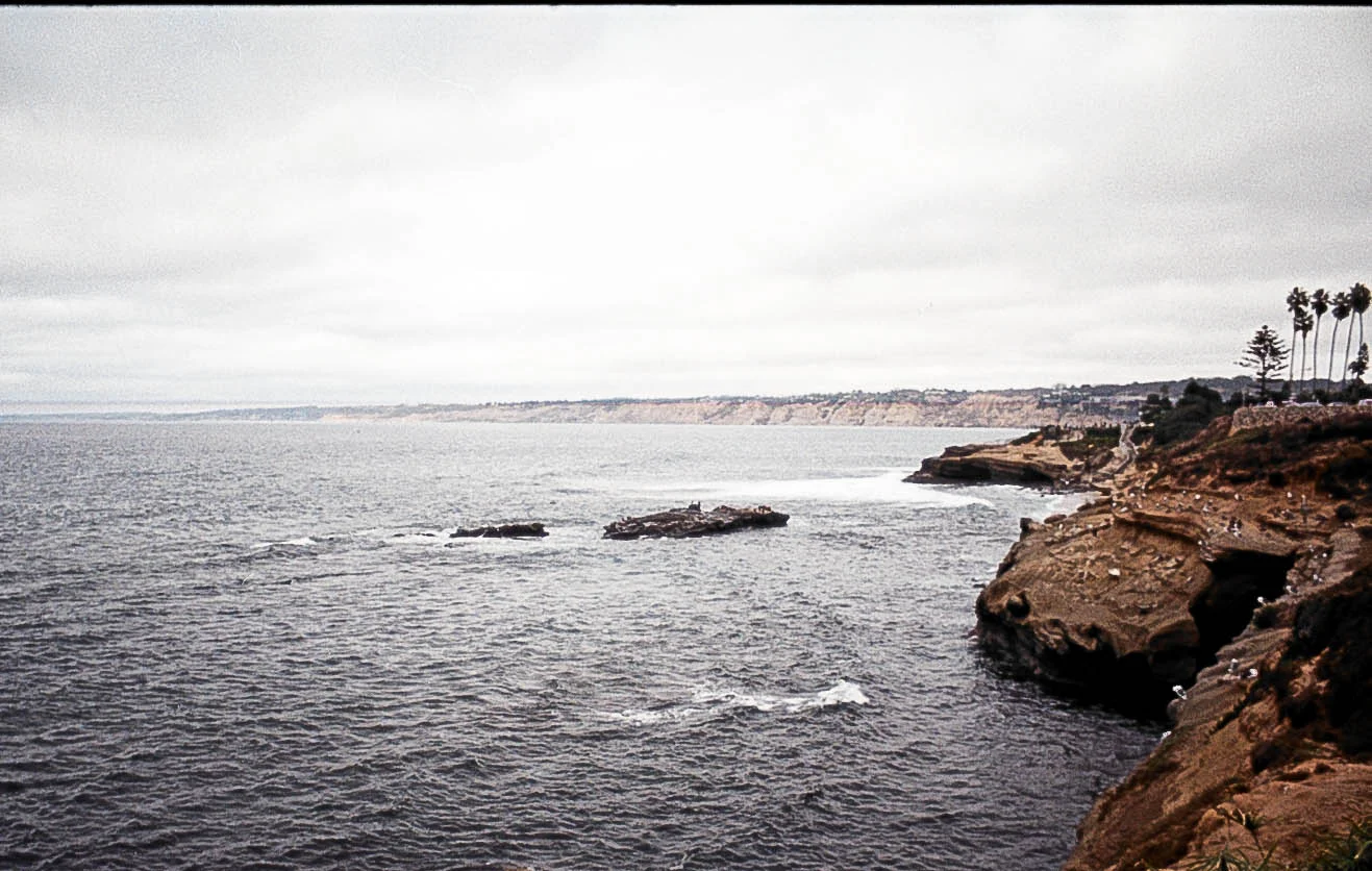 FILM-8.jpg