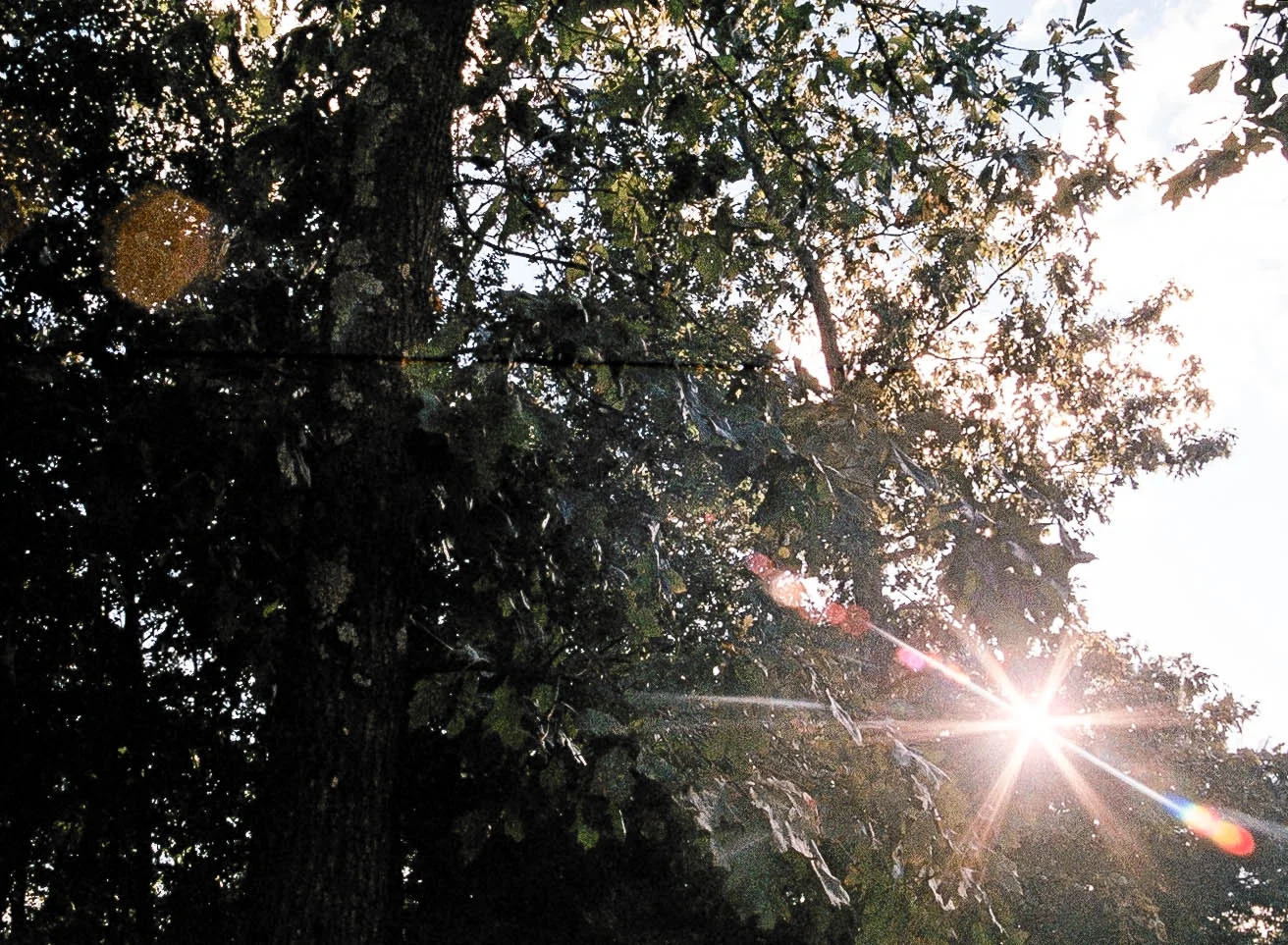 FILM-3.jpg