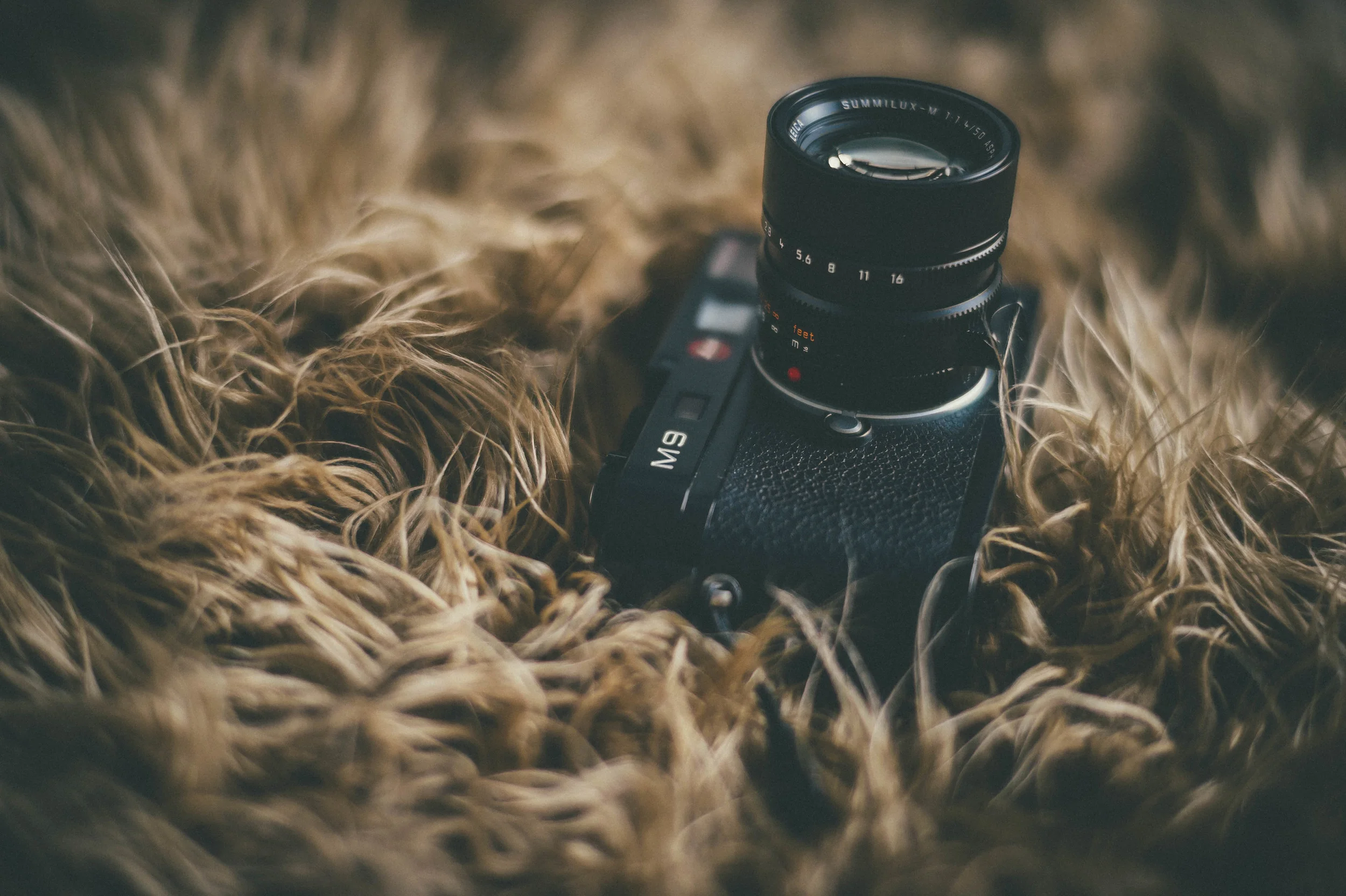 VSCO &amp; Leica - A Beautiful Duo