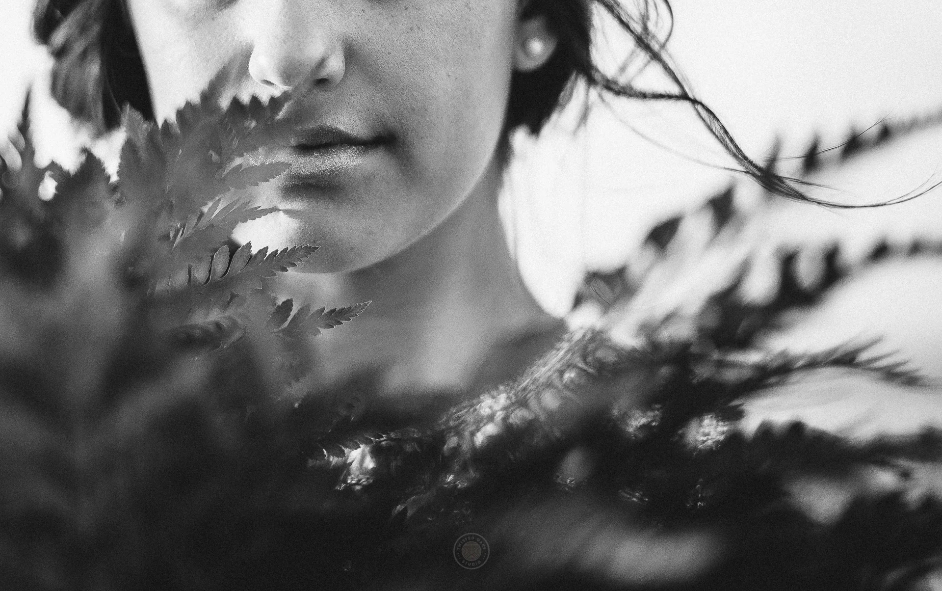 Jay_Cassario_Leica-0010.jpg