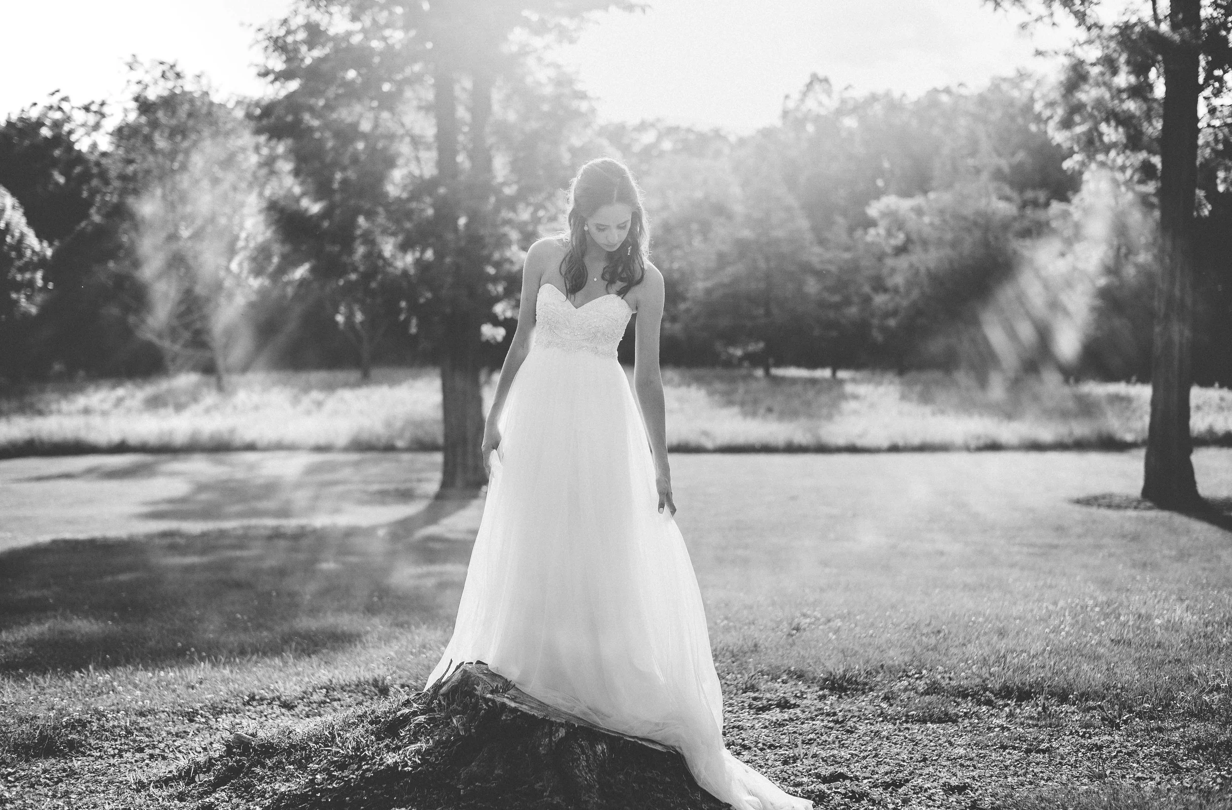 Leica M9 + 50mm Summilux