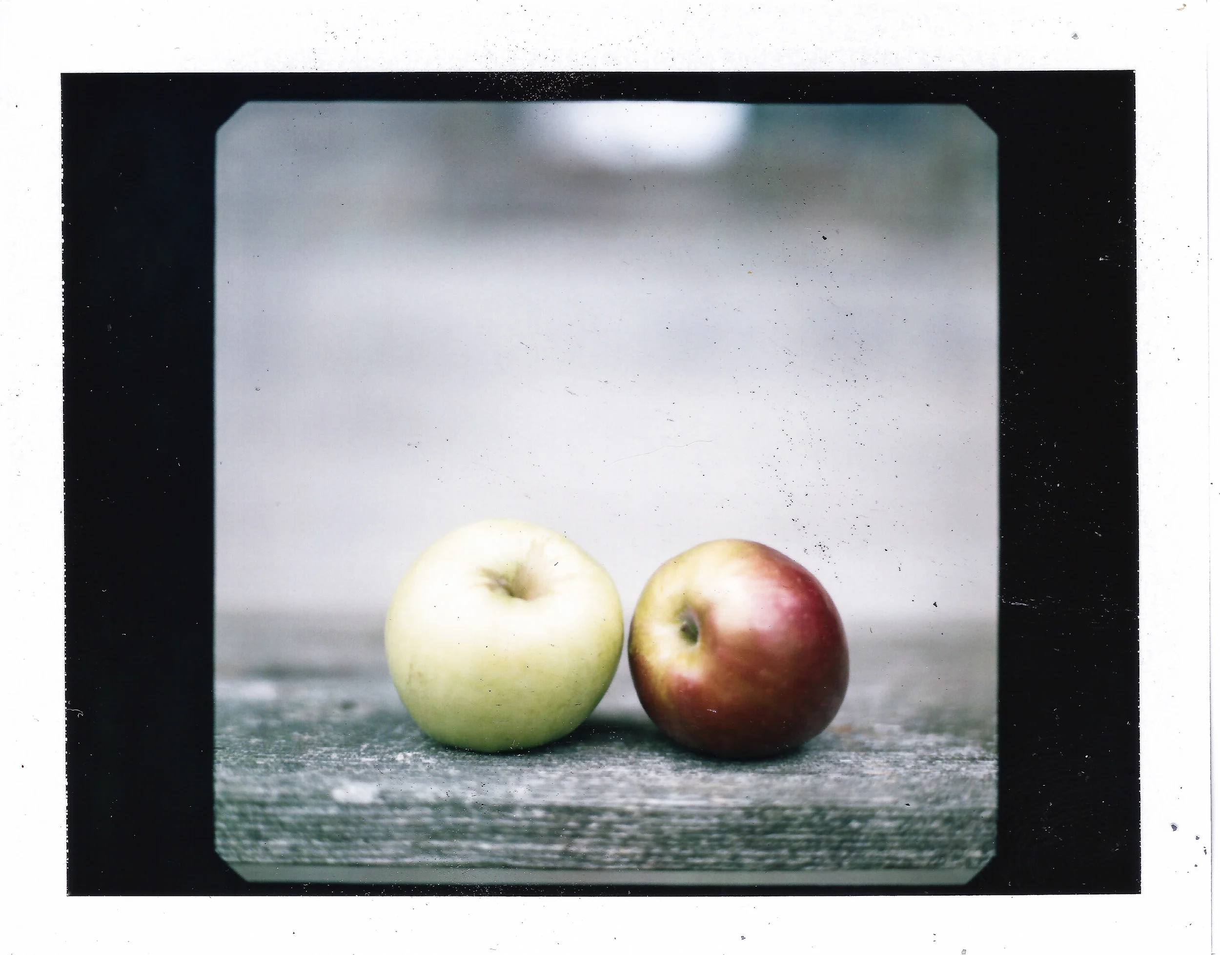 Polaroid_mamiya-0001.jpg