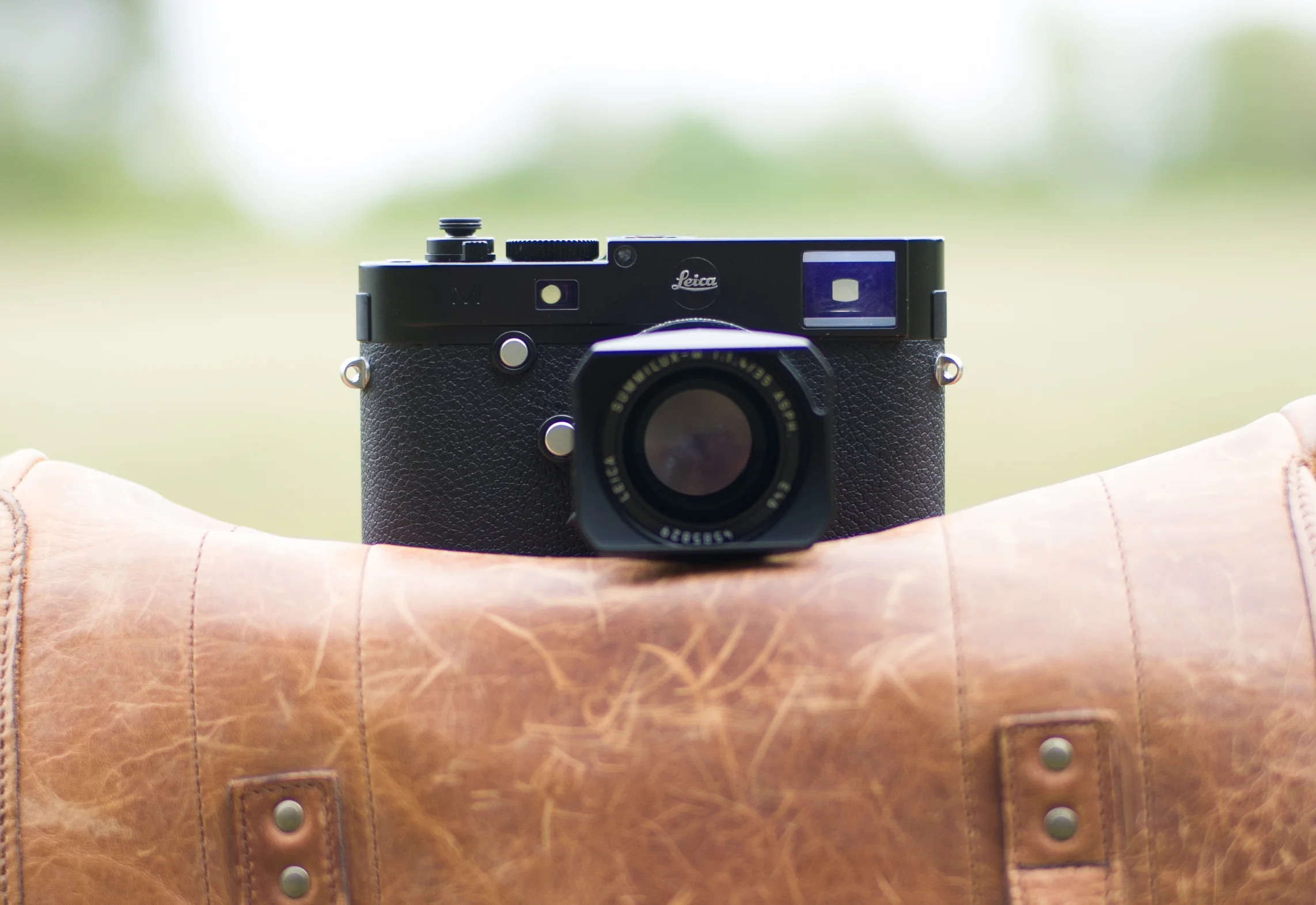 Leica SL Crop