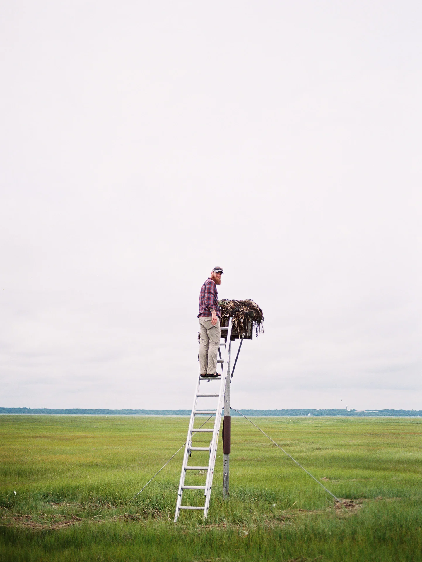 Twisted_Oaks_Film_Osprey-0001.jpg