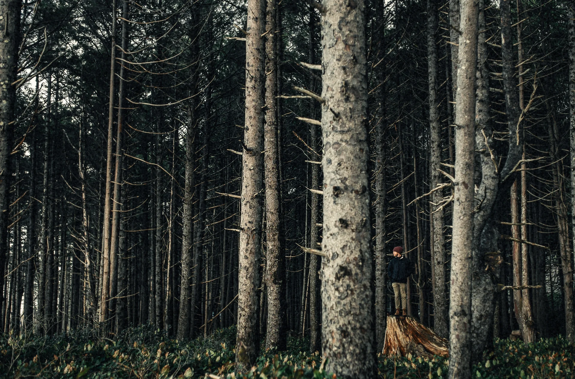Jay_Cassario_Mystic_Portland_blog2.jpg