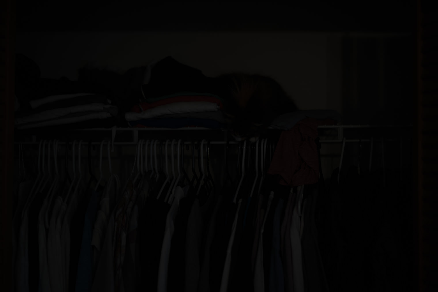 50mm f/1.4 - ISO100