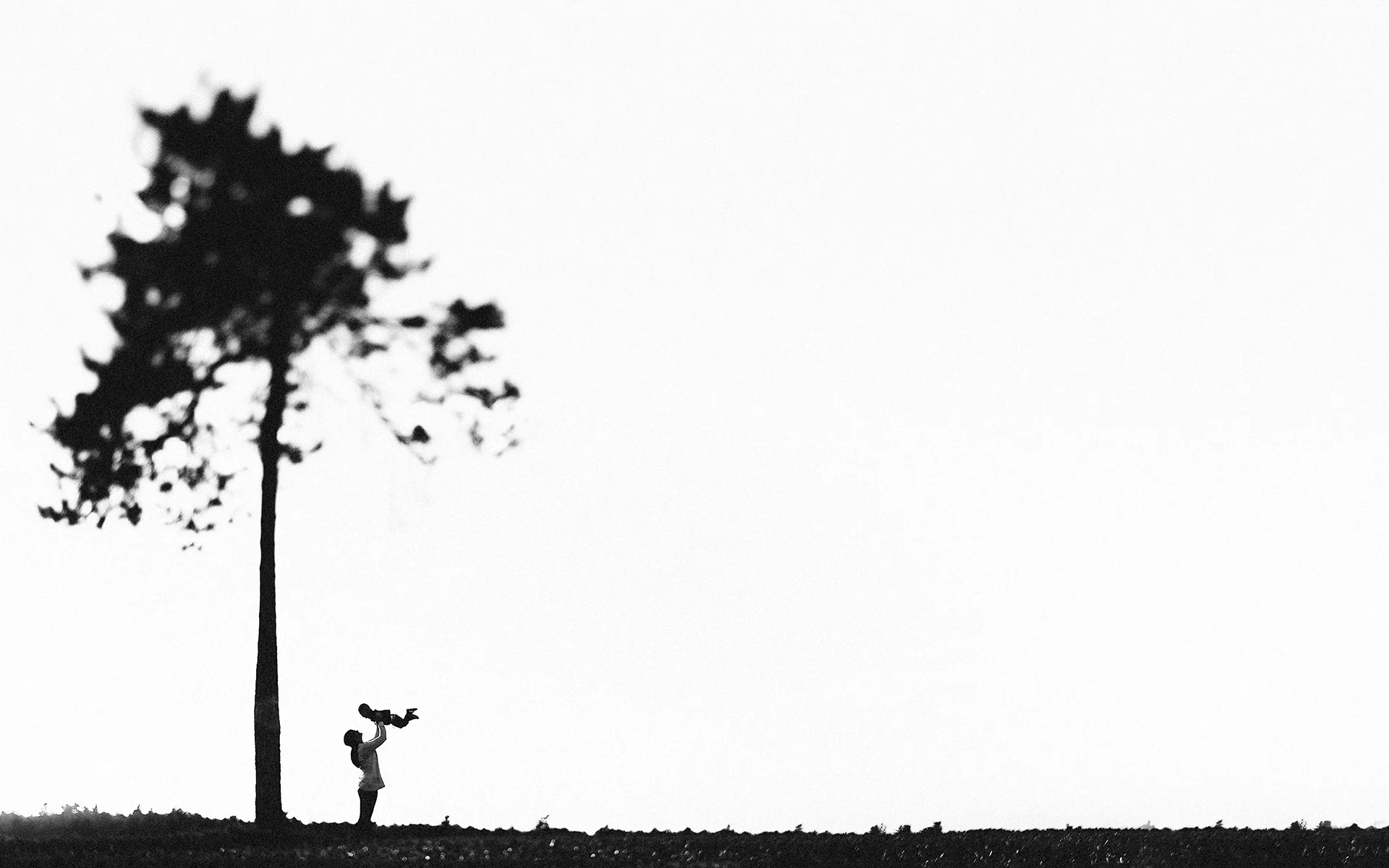 sandi-luke-maine-tree-1.jpg