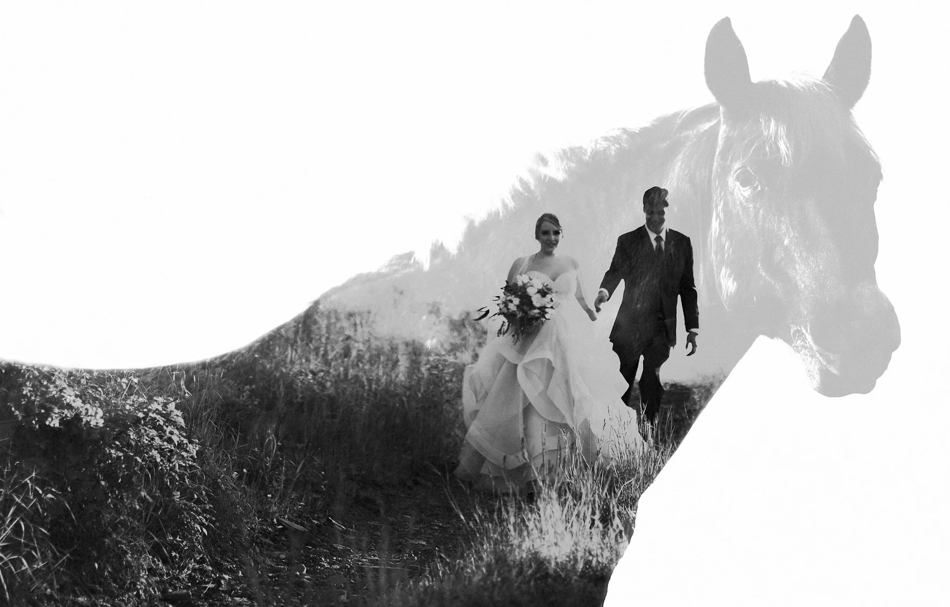 untitled148-edit-editjpg_34771274796_o.jpg