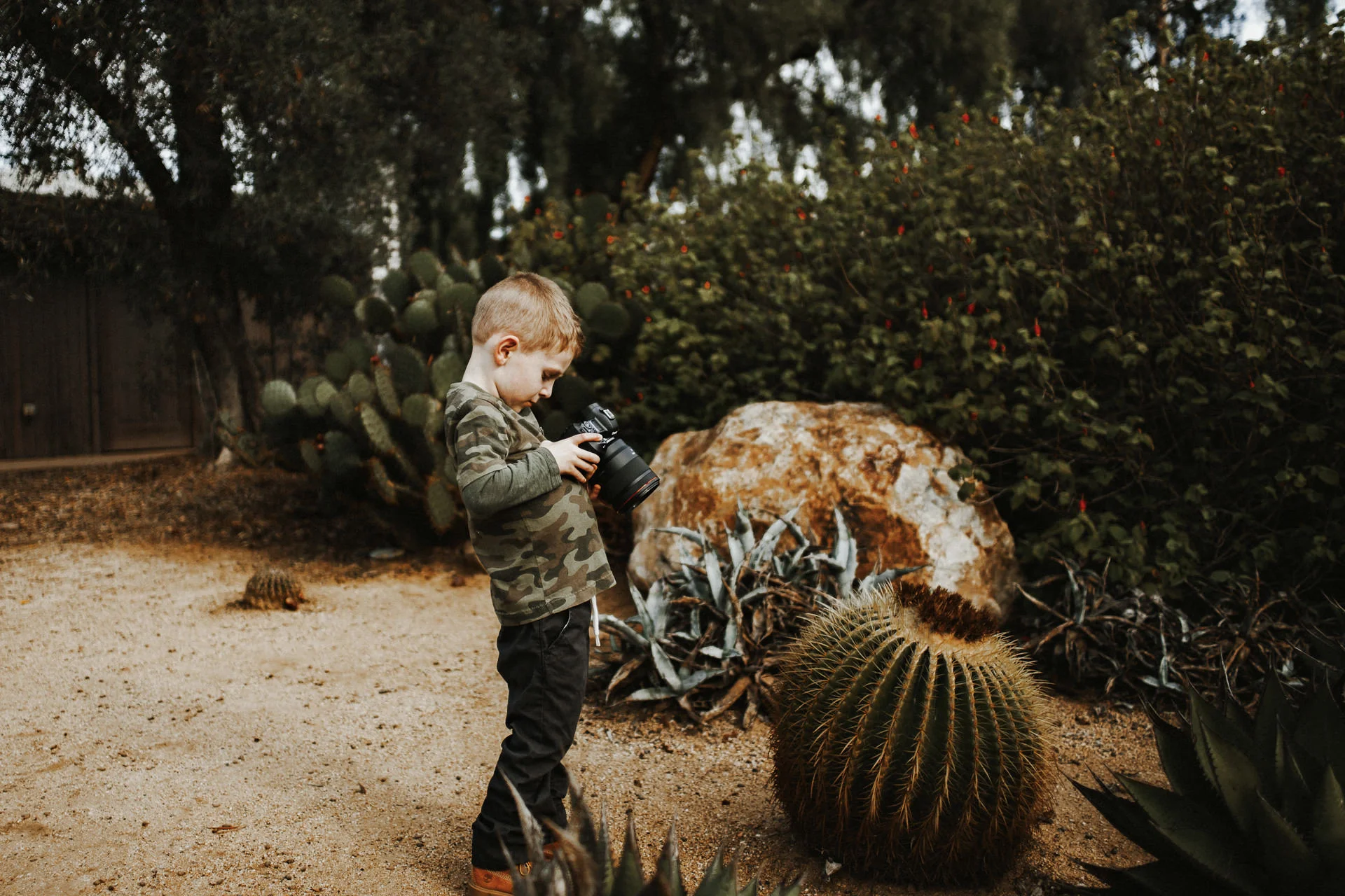 Twisted-oaks-studio-san-diego-vaca-2018-41.jpg
