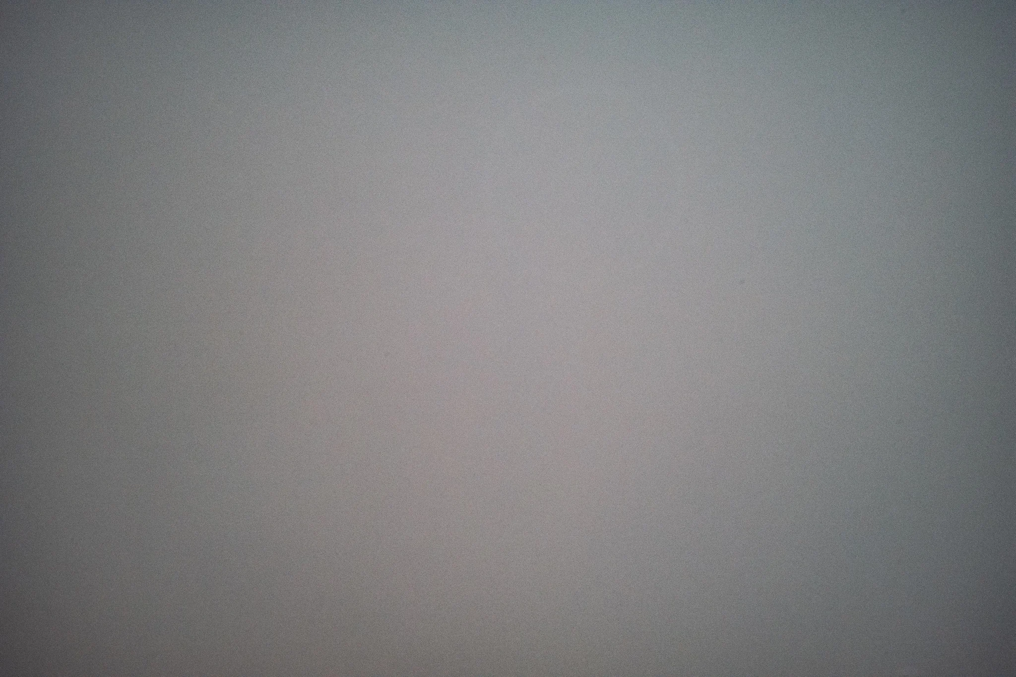 46140575345_1cb66d31db_k.jpg